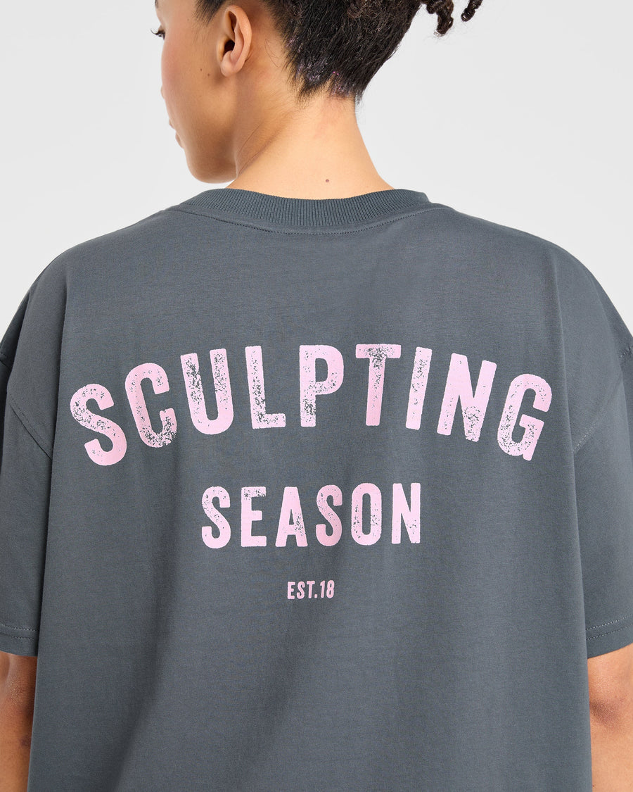 Sculpting Season Oversized T Shirt - Gris/Rose