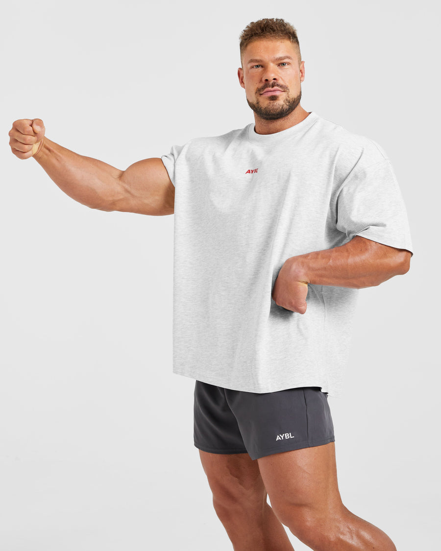 Wesley Vissers X Beyond Limits Oversized T Shirt - Gris Marl